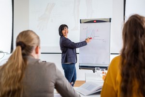 Workshop situation: Expert explains with a flipchart